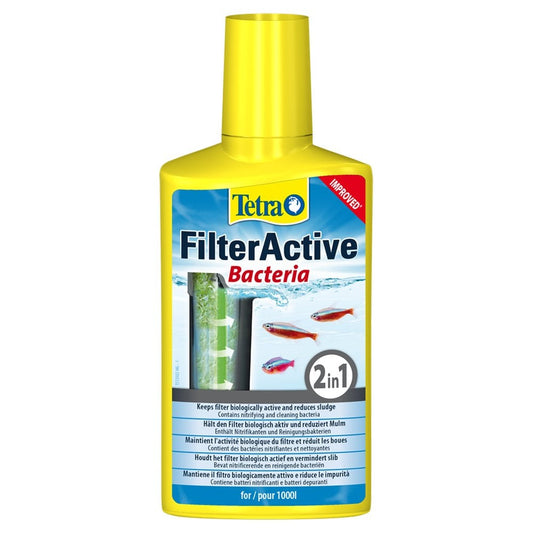 Filter Active