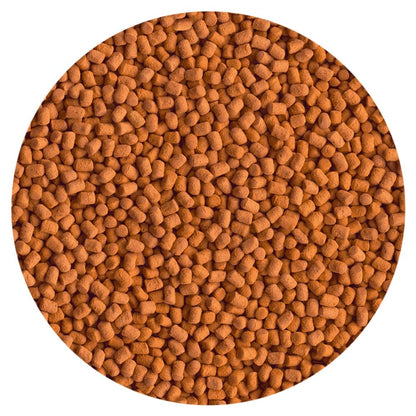 ReptoMin Energy 34g