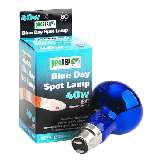 Blue Day Spot Lamps BC