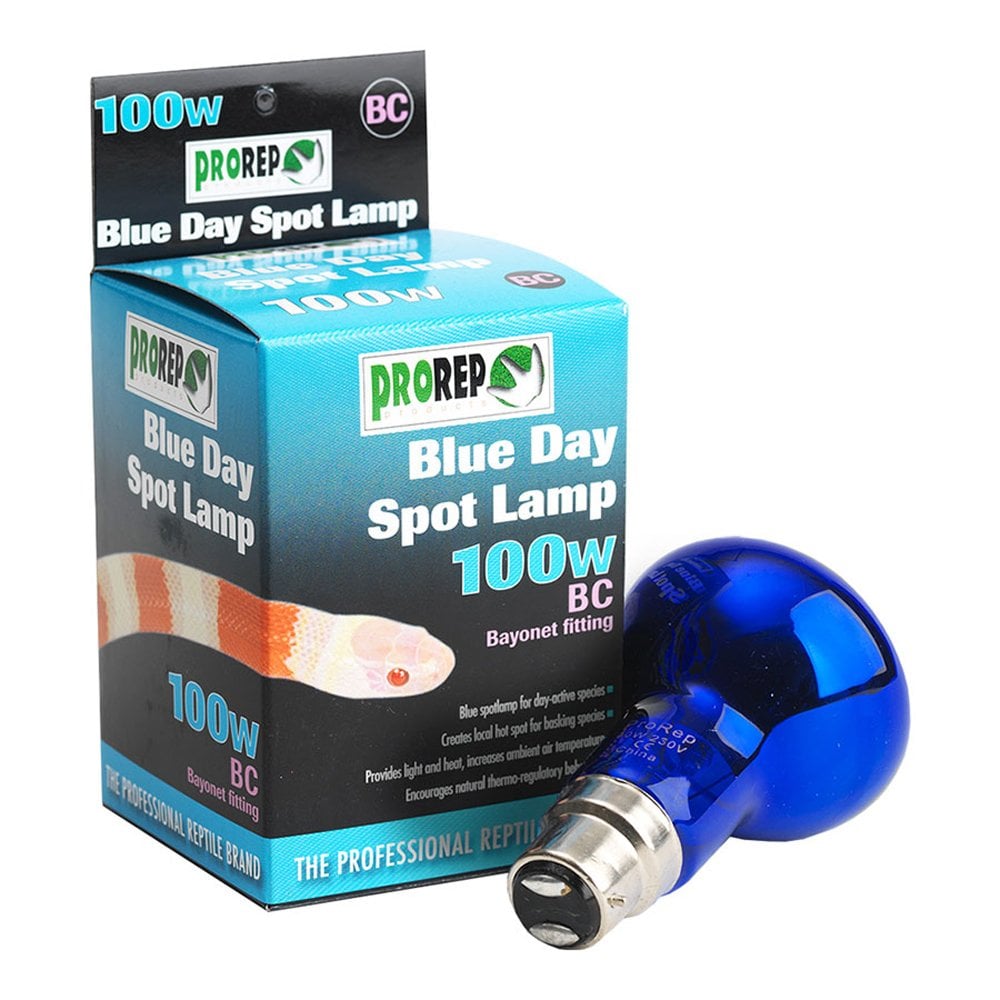 Blue Day Spot Lamps BC