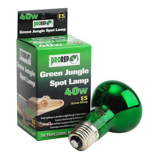 Green Jungle Spot Lamps ES