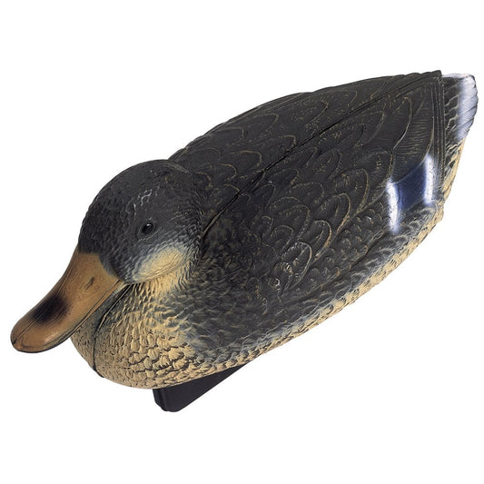 Floating Mallard Duck Female