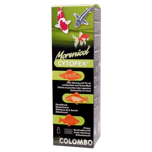 Cytofex-Anti Bacterial Infection