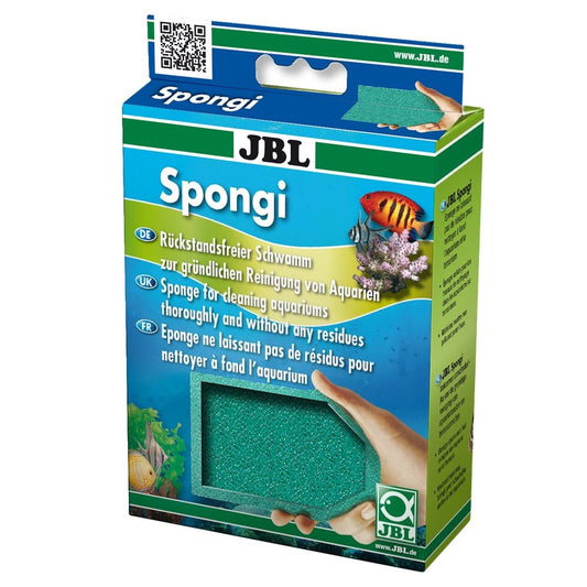 Spongi