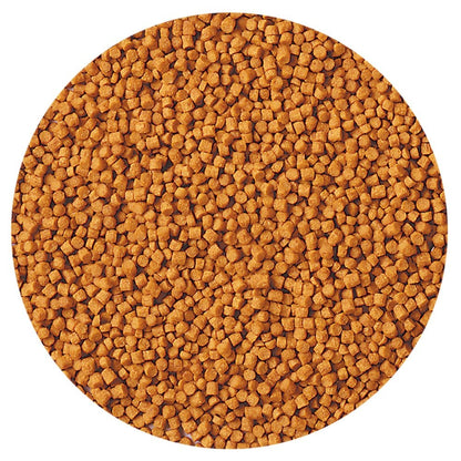 Goldfish Gold Growth