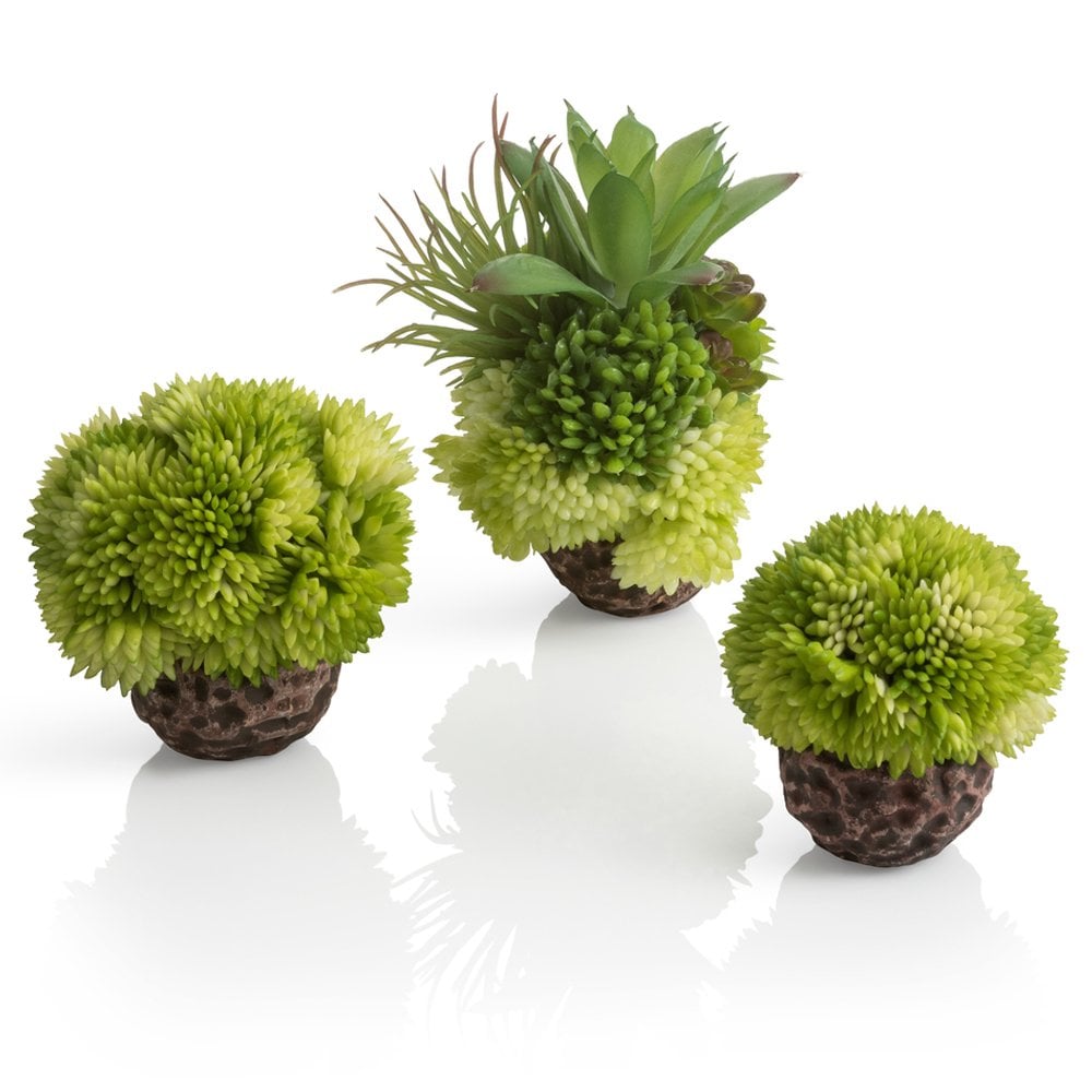 Coral Ball Set - Green