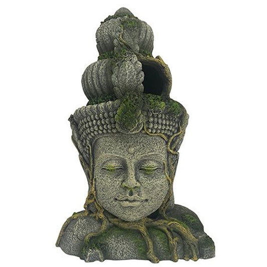 Aztec Figure Head Ruin