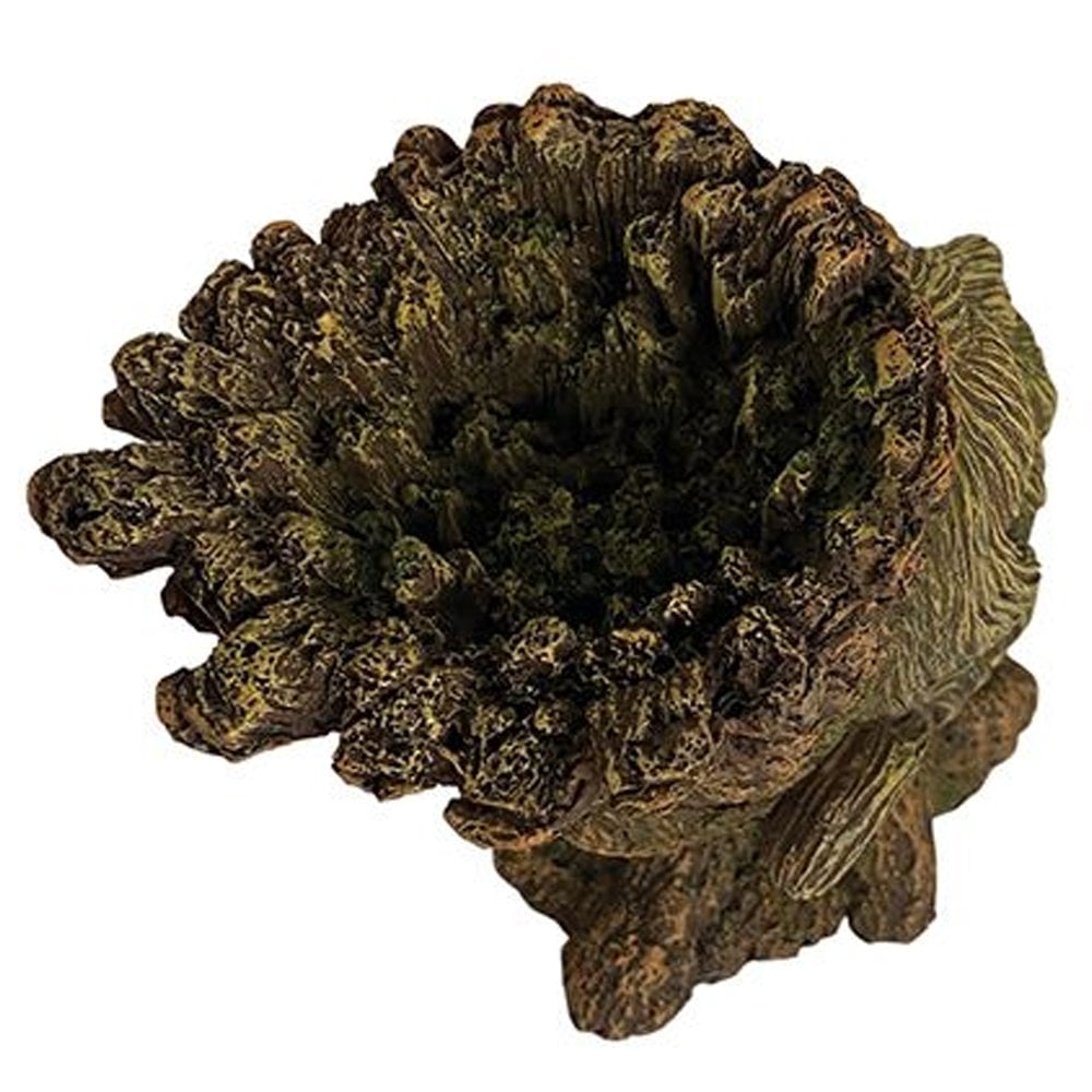 Tree Man Head