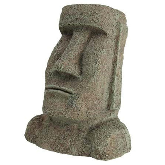 Easter Islander Head