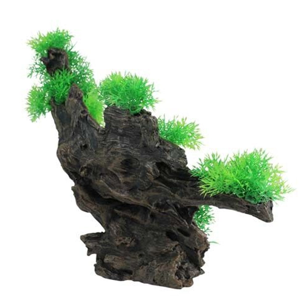 Jumbo Driftwood With Plant
