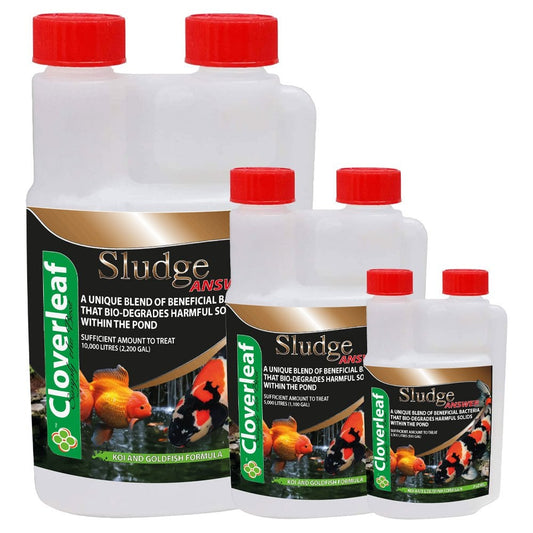Sludge Answer
