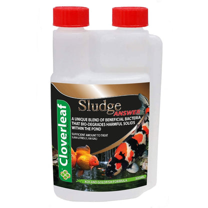 Sludge Answer