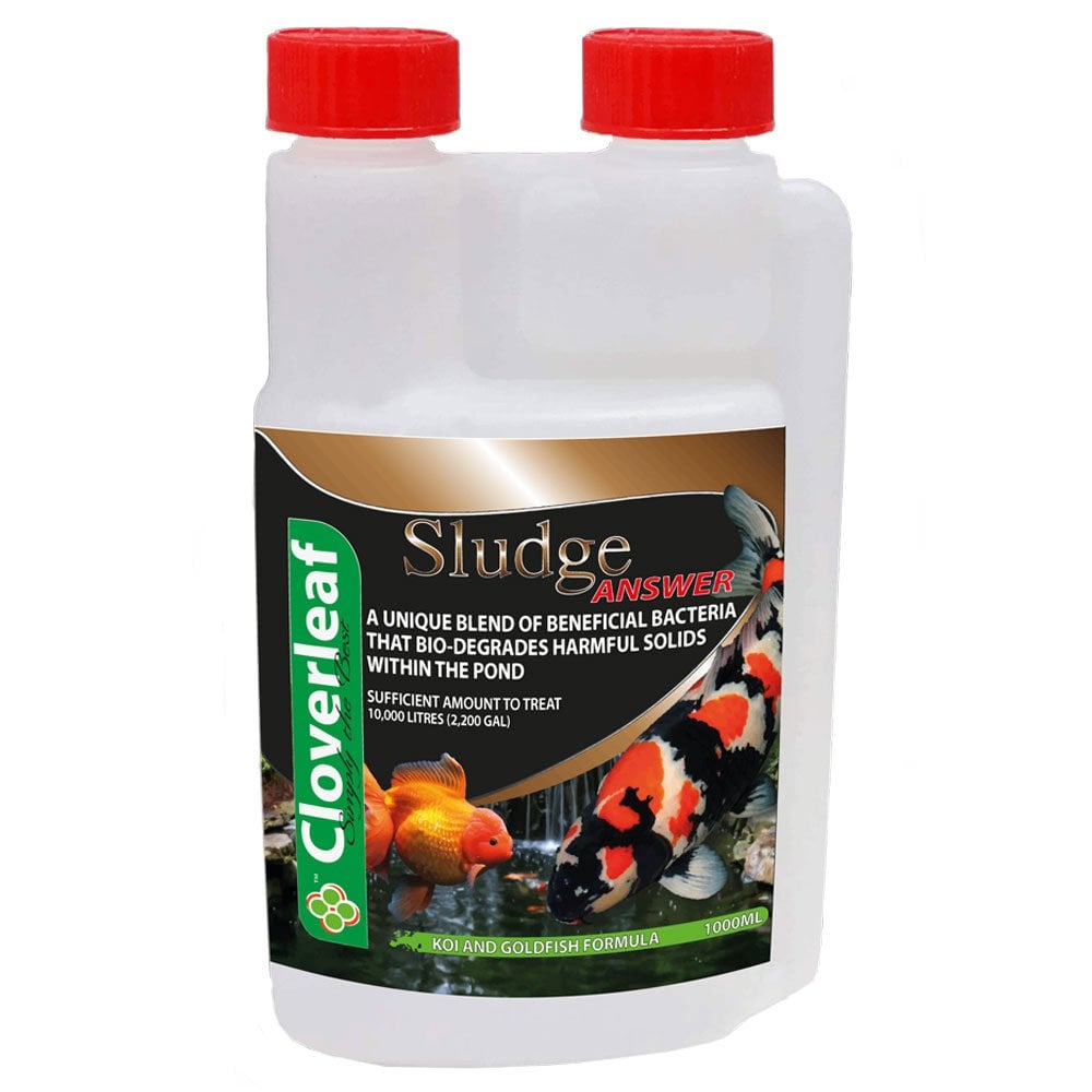 Sludge Answer