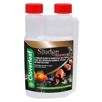 Sludge Answer