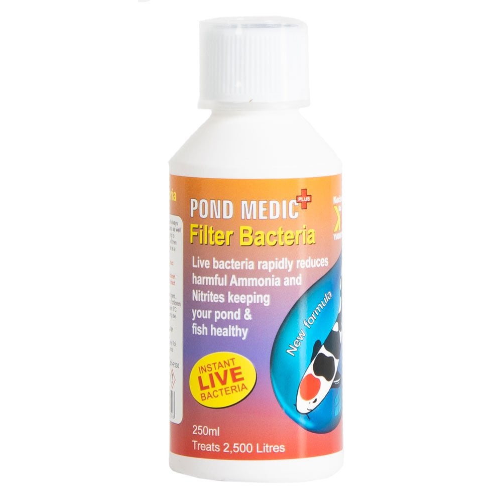 Filter Bacteria