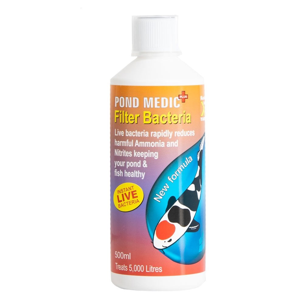 Filter Bacteria