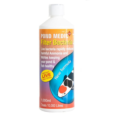 Filter Bacteria
