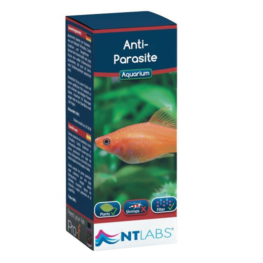 Aquarium Anti Parasite