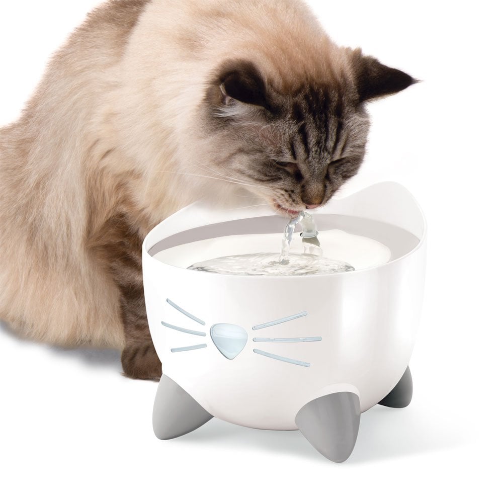 Pixi Fountain - Stainless Steel