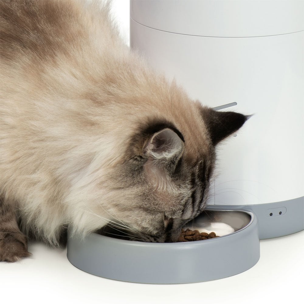 Pixi Smart Feeder