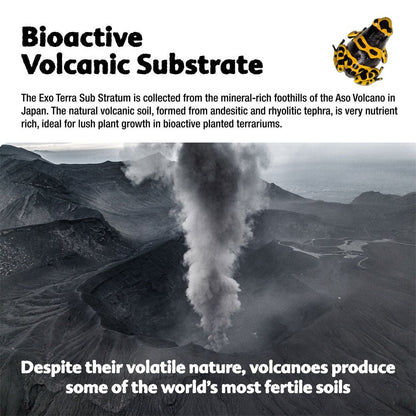 Bioactive Volcanic Substrate