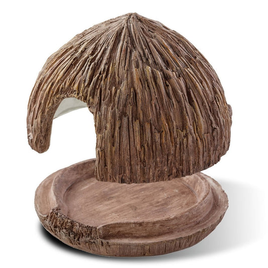 Coconut Cave