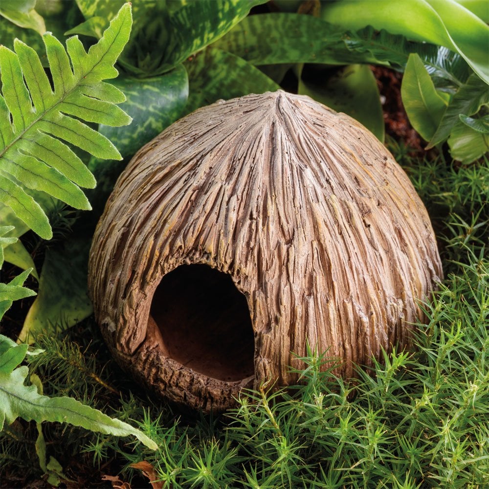 Coconut Cave