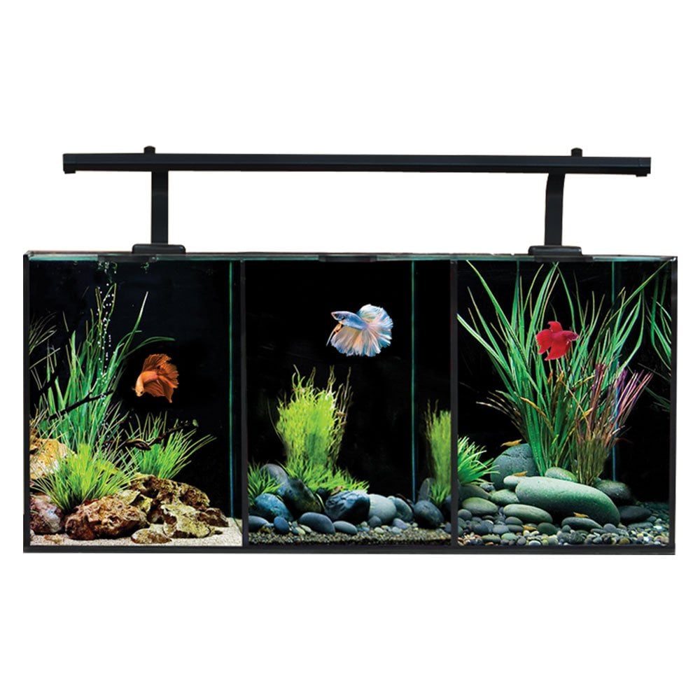 Betta Trio Aquarium 32L