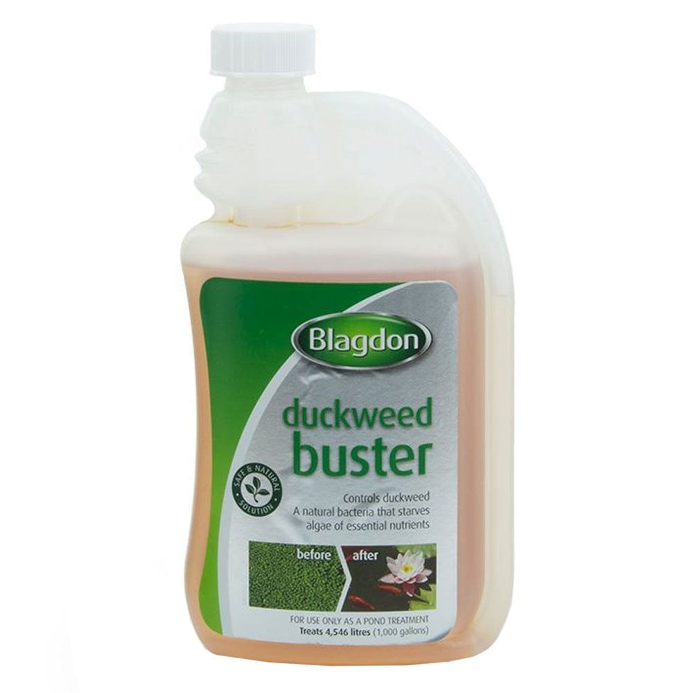 Duckweed Buster