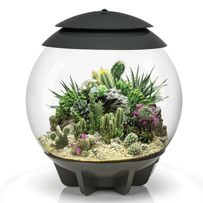 Air 30 Terrarium - Grey