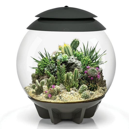 Air 30 Terrarium - Grey