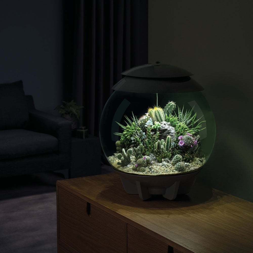 Air 30 Terrarium - Grey
