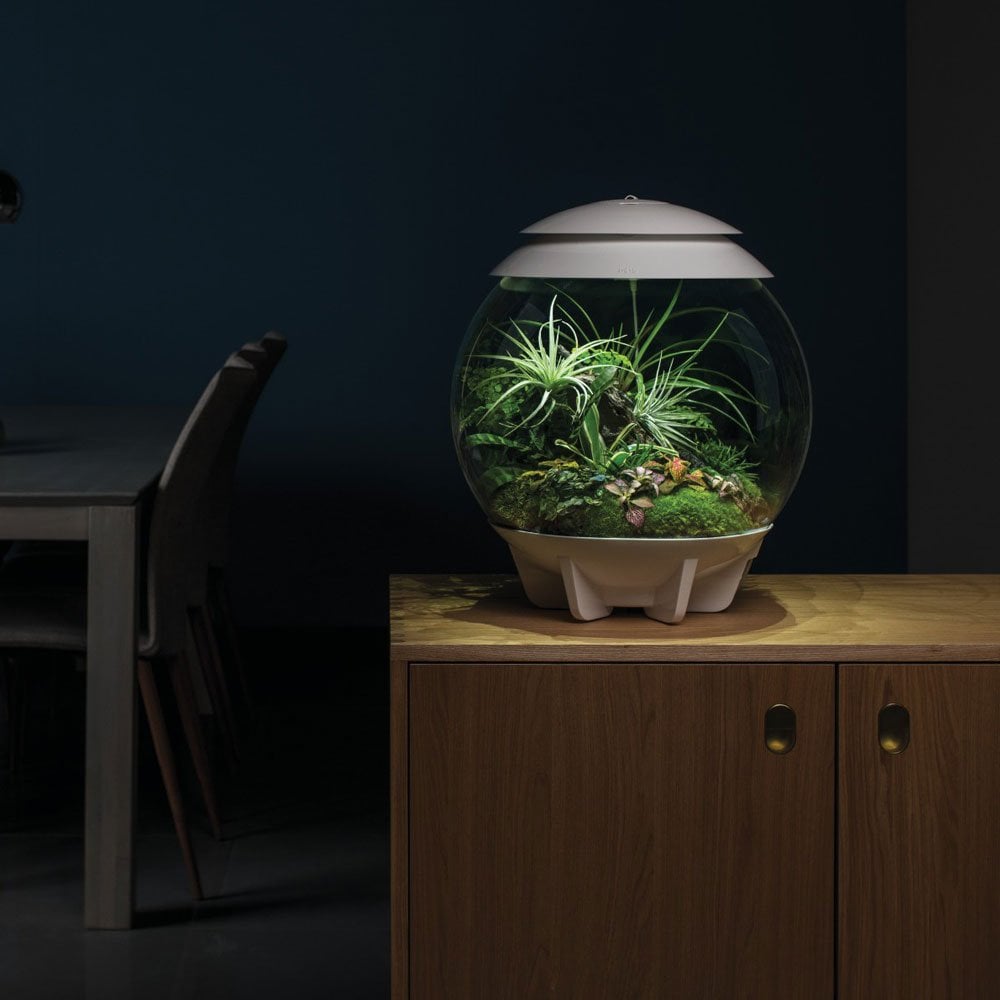 Air 30 Terrarium - White