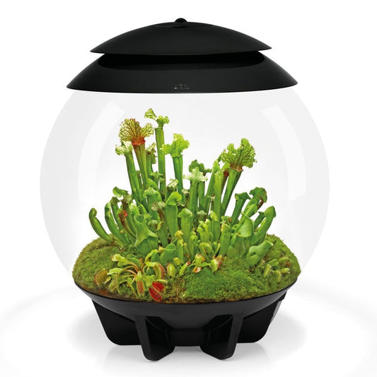 Air 30 Terrarium - Black