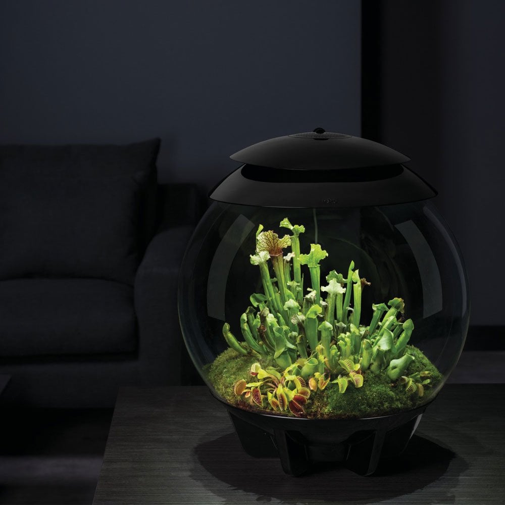 Air 30 Terrarium - Black