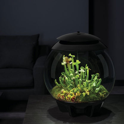 Air 30 Terrarium - Black