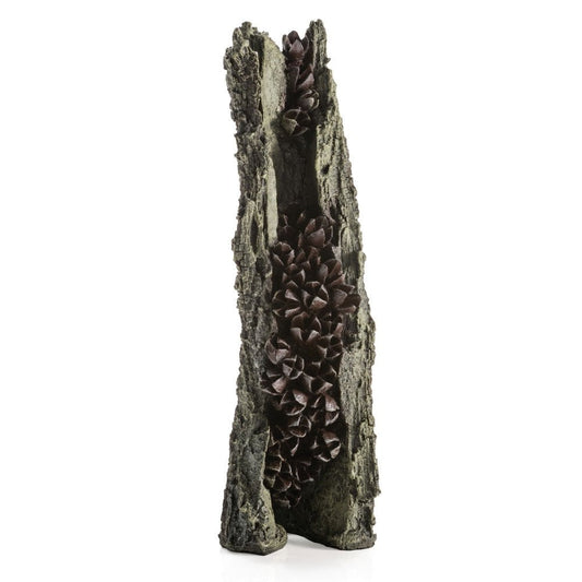Bark - Large