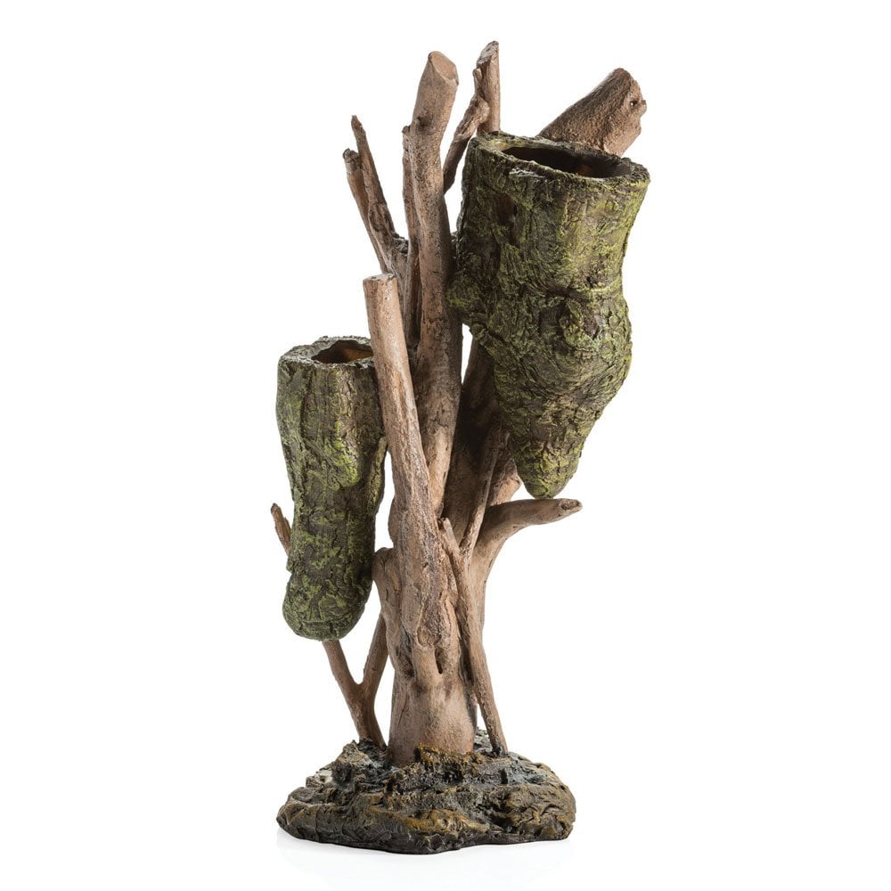 Root With Bee Hive