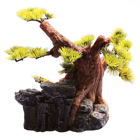 Bonsai On Rock
