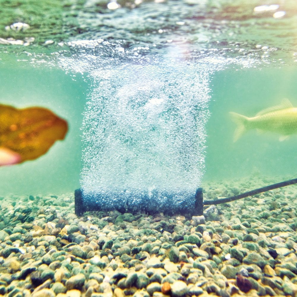 AquaOxy Aerator Bar - Large