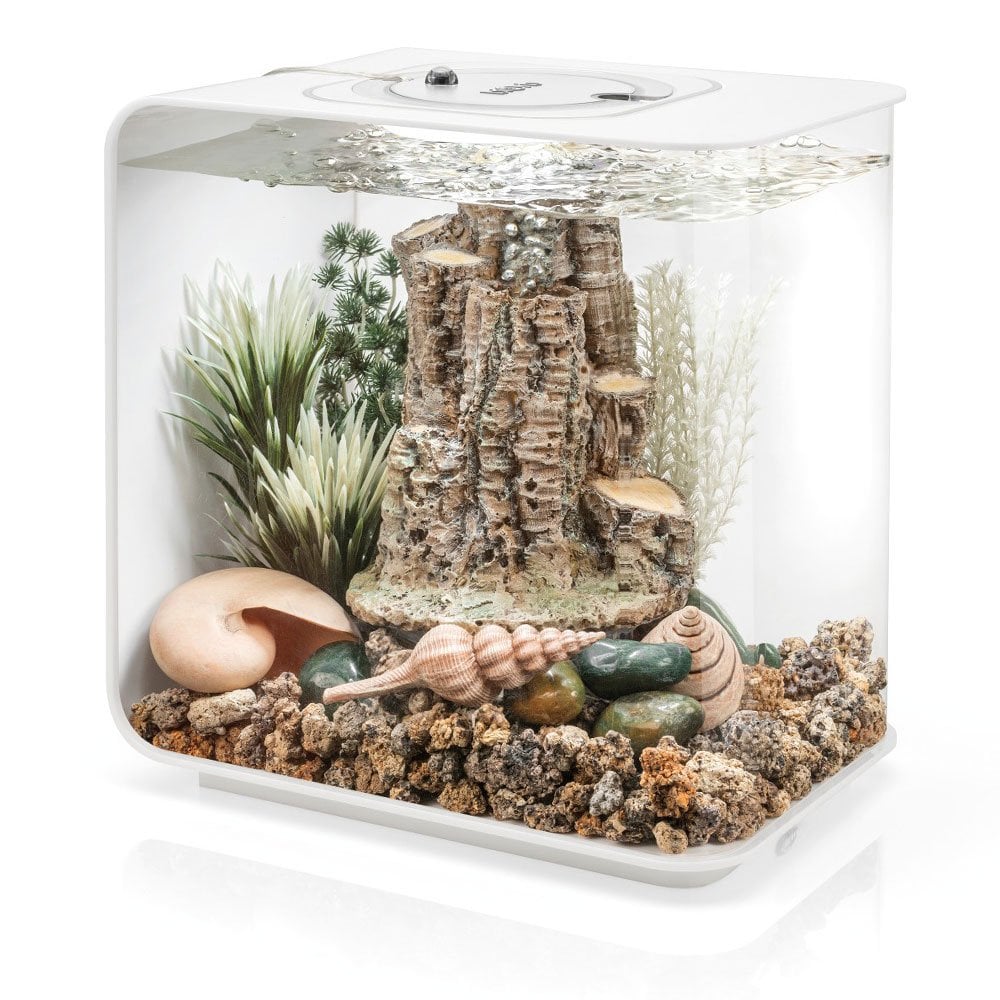 Decor Set - Forest Rhythm