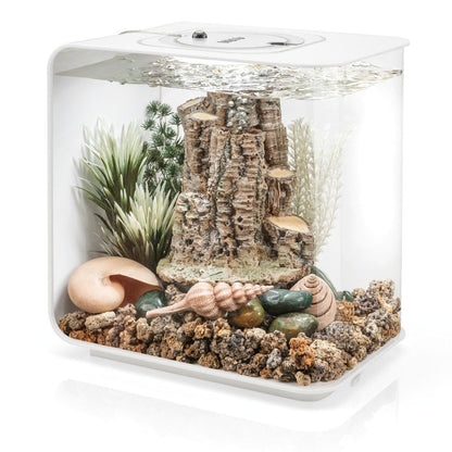 Decor Set - Forest Rhythm