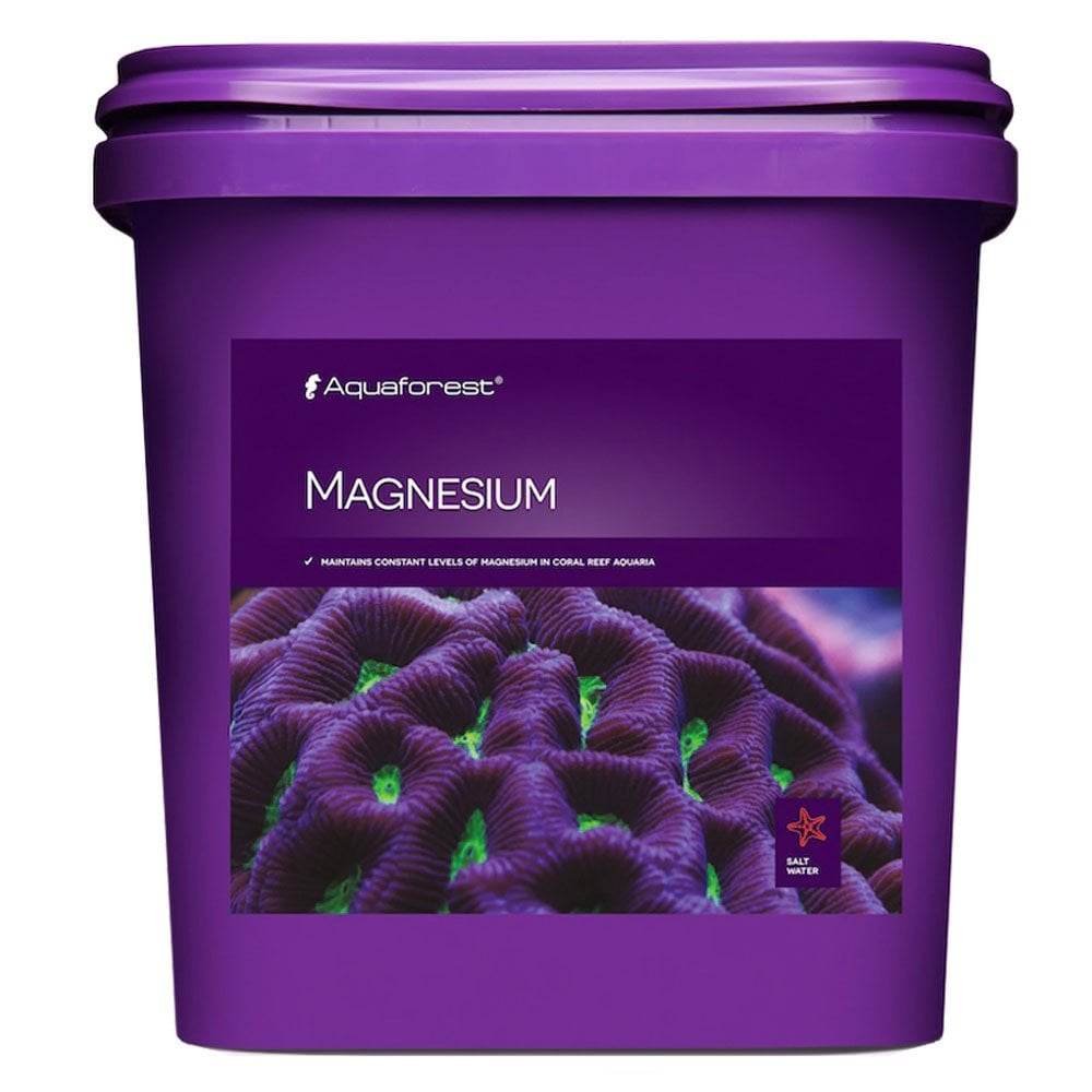 Magnesium
