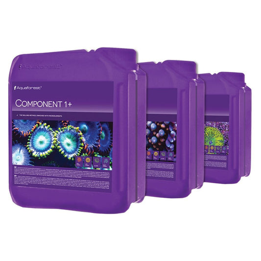 Component 1+ 2+ 3+