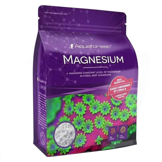 Magnesium