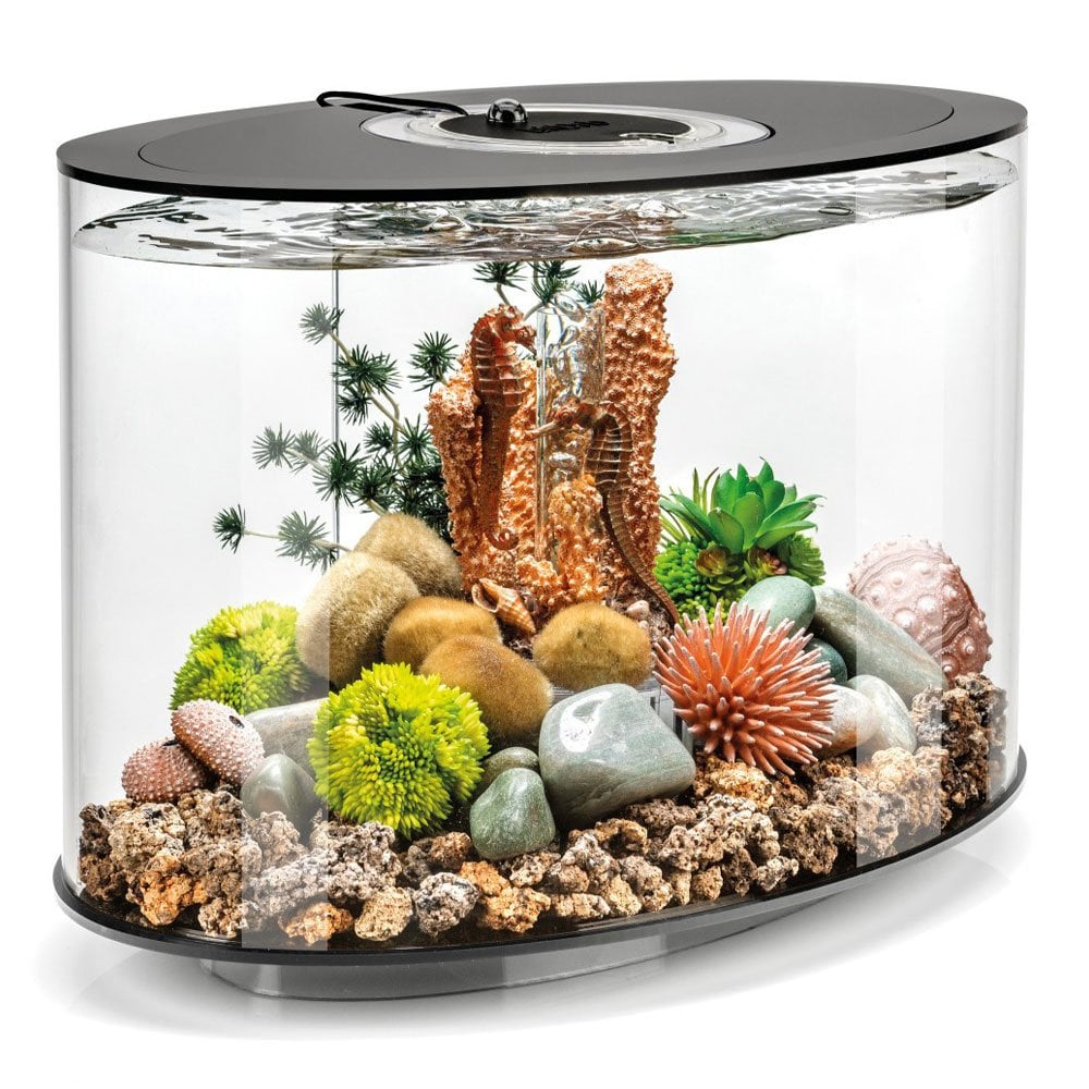 LOOP 15 Aquarium MCR LED - Black
