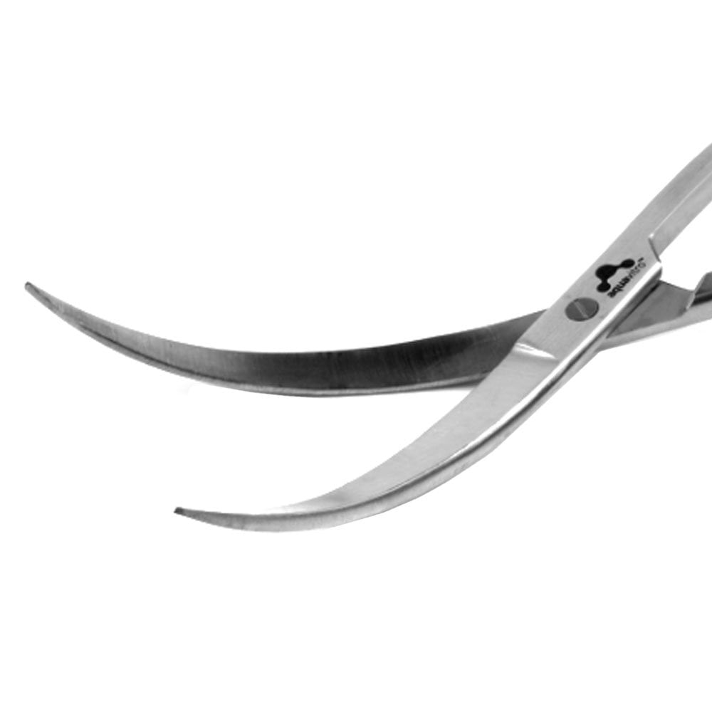 Double Curved Shears 25cm