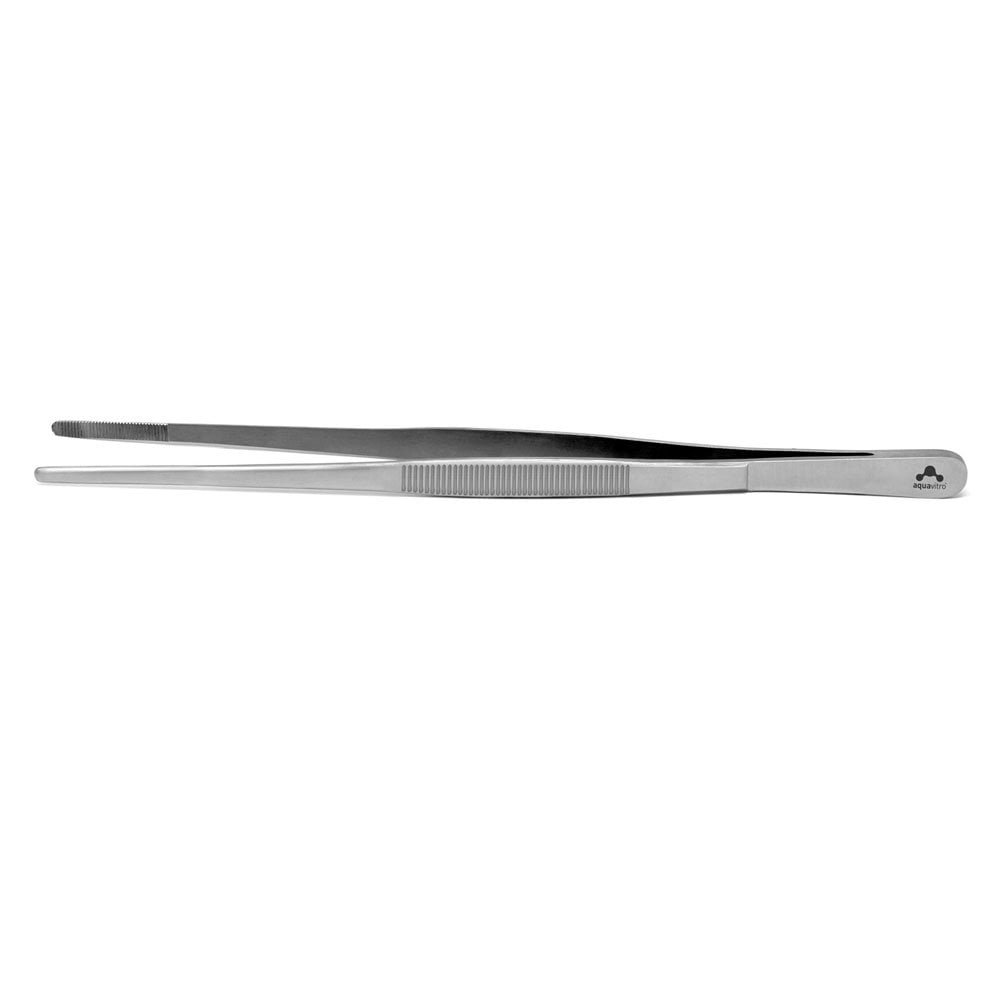 Straight Forceps 25cm