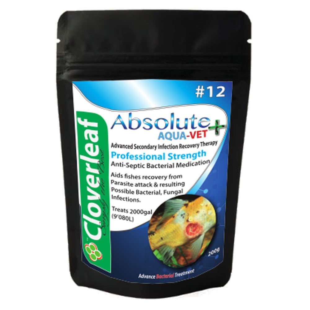 Absolute Aqua Vet+ Recovery