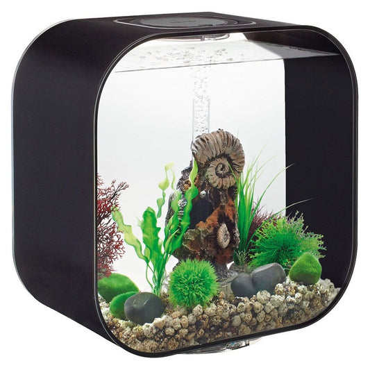 LIFE 30 Aquarium MCR LED - Black